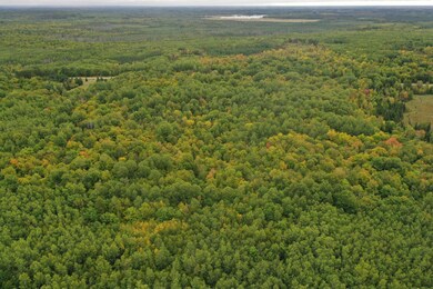 30735 Splithand Rd, Grand Rapids, MN 55744 - photo 7