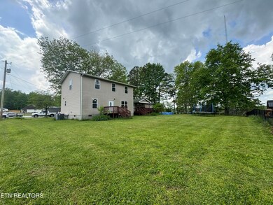 IMG_6446