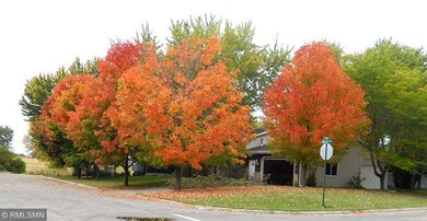Wooded lot, 14 Mature Trees, Many of them Maples