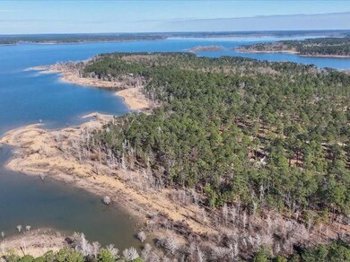 Tallowood Dr, Brookeland, TX 75931 - photo 5