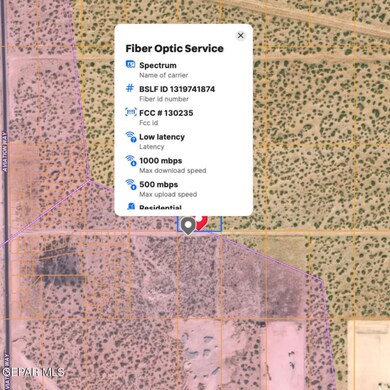 341713 79 Tsp 3 Sec 15 T & P Abst 215, El Paso, TX 79928 - photo 7