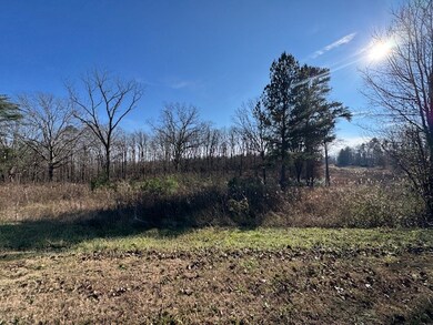 0 Columbia Hwy unit RTC3058032, Hohenwald, TN 38462 - photo 3