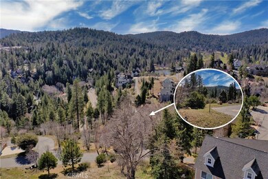 0 Modoc Ln unit EV24049730, Lake Arrowhead, CA 92352 - photo 5