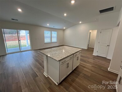 4415 Family Trail Dr, Indian Land, SC 29707 - photo 4