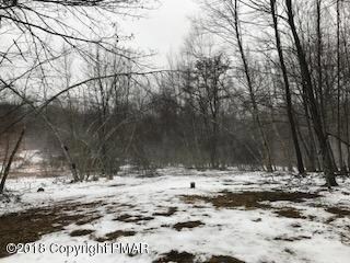 1341 Pocono Mountain Lake Dr, Bushkill, PA 18324 - photo 5