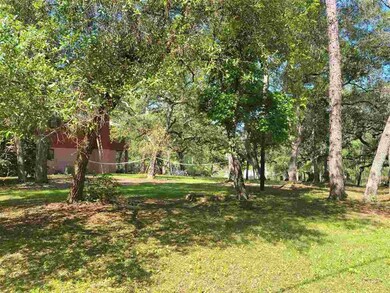 325 Whiddon Lake Rd, Crawfordville, FL 32327 - photo 3
