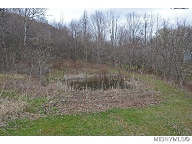Distant shot of Pond
