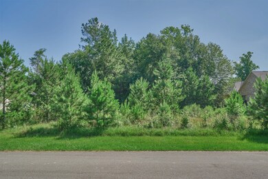 27914 Inspire Crest Ln, Spring, TX 77386 - photo 7