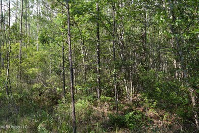 00 Avocado St, Bay Saint Louis, MS 39520 - photo 4