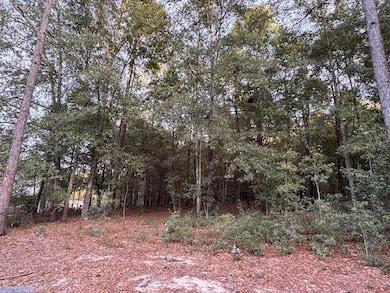 Lot 33 Marie Ln, Bainbridge, GA 39817 - photo 4