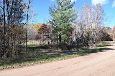 27727 Oberon Loop, Moran Township, MN 56438 - photo 3