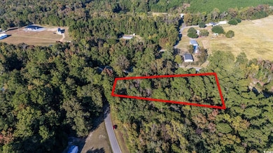 TBD Barnes Rd, Andrews, SC 29510 - photo 2