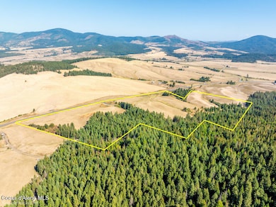 NNA Coldwater Ln, Desmet, ID 83824 - photo 3