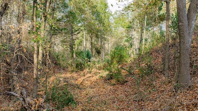 0000 Savannah Hills Ln, Longview, TX 75605 - photo 4