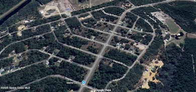 0 Sequoia Dr unit 1062677, Silver Springs, FL 34488 - photo 4