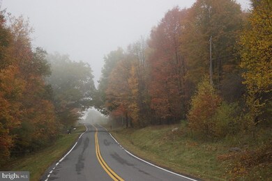 2249 Briery Gap Rd, Riverton, WV 26814 - photo 5