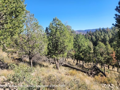 Lot 4 Guenevere Ave, Ruidoso, NM 88345 - photo 2