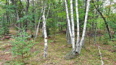 Lot A on Del Stengl Lake Rd, Stella, WI 54501 - photo 3