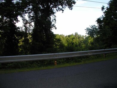 0 Leeds-Athens Rd unit 201612548, Athens, NY 12015 - photo 5