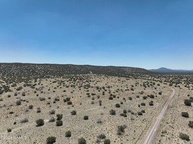 DJI_20240615113242_0035_V