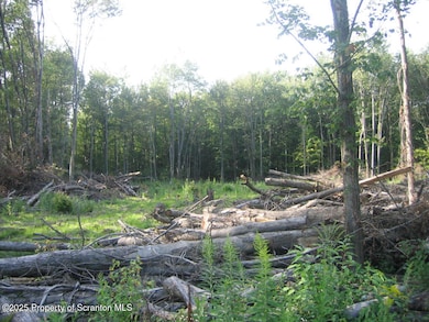 0 T 446 unit GSBSC256214, Scott Township, PA 18447 - photo 2