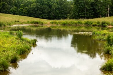 0 David Patterson Rd, Lutts, TN 38471 - photo 7