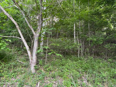 IMG_0972