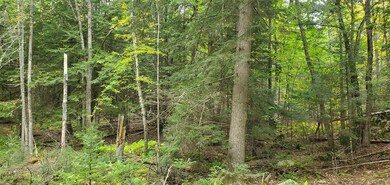 00 Hurd Hill Rd, Lyman, NH 03585 - photo 6