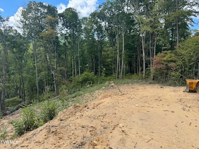 221 Shell Creek Rd, Roan Mountain, TN 37687 - photo 5