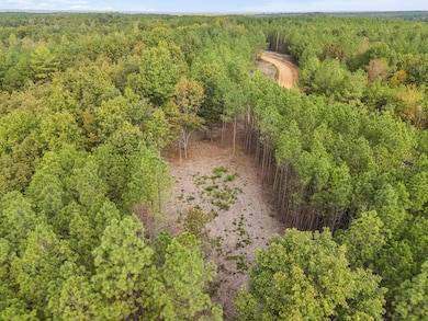 0 Old Mail Rd unit RTC2797249, Duck River, TN 38454 - photo 3