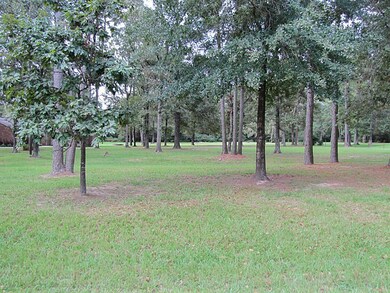 Lot 6 Ridgewood Dr, Magnolia, TX 77355 - photo 4