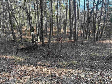 tbd La Janda Ln, Hot Springs Village, AR 71909 - photo 7