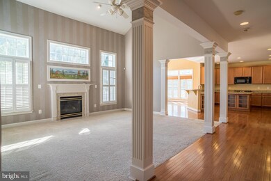 838 Queens Park Dr, Owings Mills, MD 21117 - photo 6