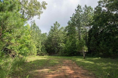 View of nature