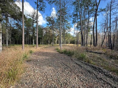 580 County Road 061 unit 580 County Road 061, Jasper, TX 75951 - photo 3