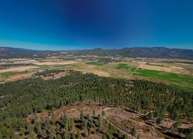 22XX Pine Rose Lot 1 Way, Chewelah, WA 99109 - photo 2