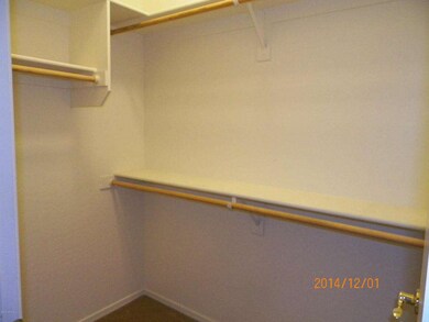 Walk In closet in Downstairs Bedroom