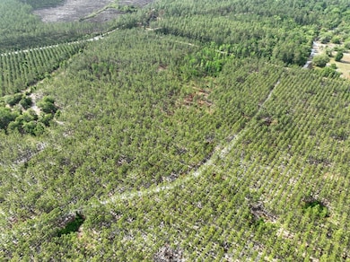 0 Ralph Davis Rd, Folkston, GA 31537 - photo 3