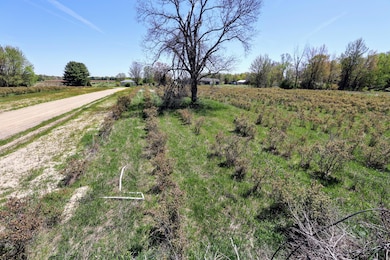 VL Benny Ct (Private) Lot#wp005 unit Lot 5, Grand Junction, MI 49056 - photo 4