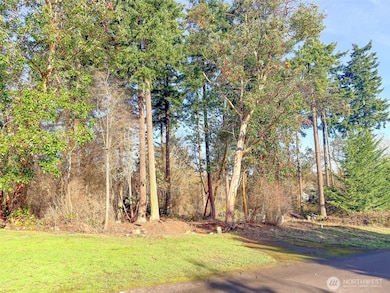 0 13th St unit NWM2458063, Port Townsend, WA 98368 - photo 3