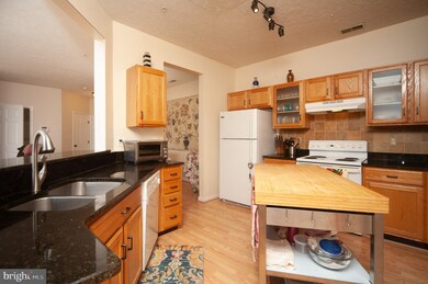 2406 Chestnut Terrace Ct unit 102, Odenton, MD 21113 - photo 7