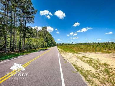 0 Spring Hill Rd, Red Springs, NC 28377 - photo 3