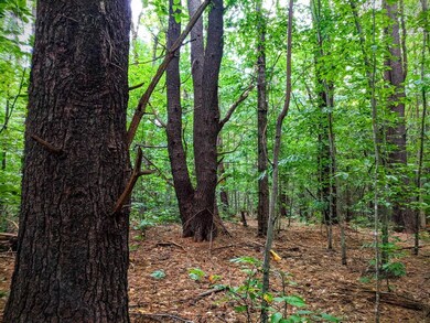 00 Cobble Hill Rd, Spofford, NH 03462 - photo 5