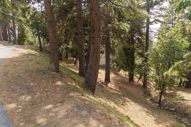 DSC01654
