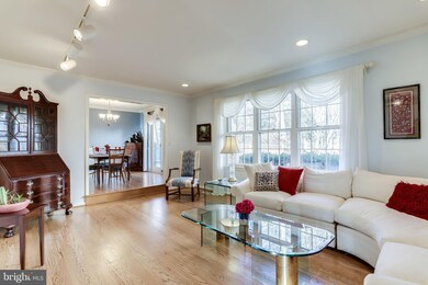 6800 Walnut St, Falls Church, VA 22046 - photo 7