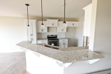 865 E Baracuda Dr, Nixa, MO 65714 - photo 4