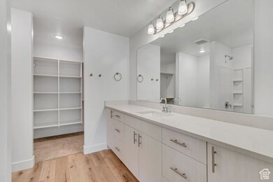 Full bath featuring light wood-style floors, vanity, a walk in closet, and a shower