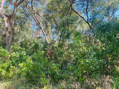 WOODED LOT #15