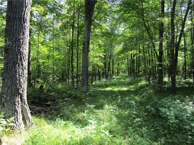 25645 Lhotka Rd, Webster, WI 54893 - photo 4