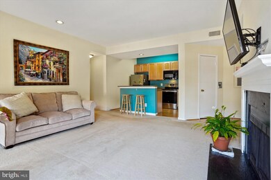 12150 Penderview Terrace unit 1325, Fairfax, VA 22033 - photo 5